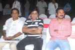 Veera Movie Triple Platinum Disc Function - 96 of 97