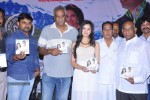 Veerukoddade Audio Launch - 8 of 48