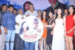 Veerukoddade Audio Launch - 17 of 48