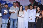 Veerukoddade Audio Launch - 43 of 48