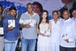 Veerukoddade Audio Launch - 47 of 48