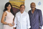 Venkatadri Express Movie Success Meet  - 100 of 120