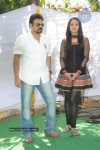 Venkatesh - Trisha New Movie Opening Stills - 25 of 99