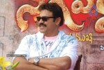 Venkatesh at Tata Docomo Nagavalli Contest - 61 of 61