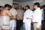 Seethamma Vakitlo Sirimalle Chettu Movie Opening - 44 of 123