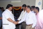 Seethamma Vakitlo Sirimalle Chettu Movie Opening - 46 of 123