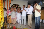 Seethamma Vakitlo Sirimalle Chettu Movie Opening - 47 of 123