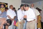 Seethamma Vakitlo Sirimalle Chettu Movie Opening - 48 of 123