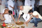 Seethamma Vakitlo Sirimalle Chettu Movie Opening - 57 of 123