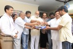 Seethamma Vakitlo Sirimalle Chettu Movie Opening - 124 of 123