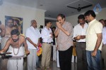 Seethamma Vakitlo Sirimalle Chettu Movie Opening - 33 of 123