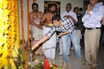 Seethamma Vakitlo Sirimalle Chettu Movie Opening - 37 of 123