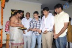 Seethamma Vakitlo Sirimalle Chettu Movie Opening - 53 of 123