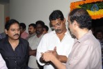 Seethamma Vakitlo Sirimalle Chettu Movie Opening - 56 of 123