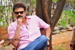 Venkatesh n Anushka Talks about Nagavalli - 5 of 42