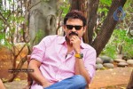 Venkatesh n Anushka Talks about Nagavalli - 11 of 42