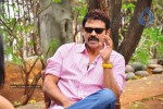 Venkatesh n Anushka Talks about Nagavalli - 13 of 42
