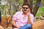 Venkatesh n Anushka Talks about Nagavalli - 14 of 42