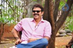 Venkatesh n Anushka Talks about Nagavalli - 20 of 42