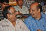 Vetadu Ventadu Movie Audio Launch - 43 of 67