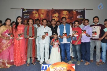 Vetapalem Audio Launch - 16 of 19