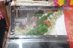 Veturi Sundarama Murhy Condolences  - 117 of 155