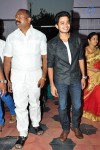 Vinavayya Ramayya Audio Launch 01 - 14 of 64