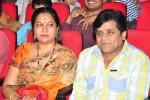 Vinavayya Ramayya Audio Launch 02 - 30 of 79