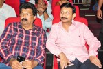 Vinavayya Ramayya Audio Launch 02 - 36 of 79