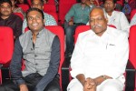 Vinavayya Ramayya Audio Launch 02 - 21 of 79