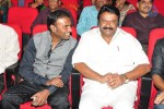 Vinavayya Ramayya Audio Launch 02 - 28 of 79