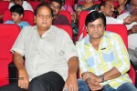 Vinavayya Ramayya Audio Launch 02 - 52 of 79