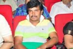 Vinavayya Ramayya Audio Launch 02 - 56 of 79