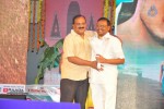 Vinavayya Ramayya Audio Launch 02 - 58 of 79