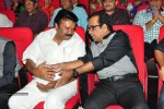 Vinavayya Ramayya Audio Launch 03 - 18 of 50