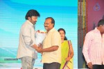 Vinavayya Ramayya Audio Launch 03 - 48 of 50