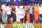 Vinavayya Ramayya Audio Launch 04 - 17 of 105
