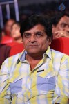 Vinavayya Ramayya Audio Launch 04 - 51 of 105