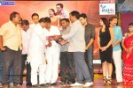 Vinavayya Ramayya Audio Launch 04 - 52 of 105