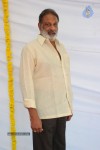 Vinavayya Ramayya Movie Opening - 151 of 282