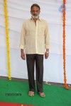 Vinavayya Ramayya Movie Opening - 159 of 282