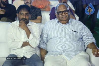 Vinaya Vidheya Rama Pre Release Event 01 - 12 of 42