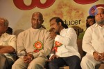 Viswa Vijetha Movie Audio Launch - 20 of 52