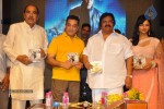 Viswaroopam Movie Audio Launch 02 - 37 of 87