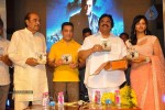 Viswaroopam Movie Audio Launch 02 - 45 of 87