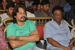 Wanted Movie Audio Launch - 30 of 120