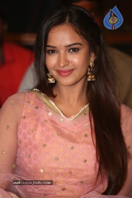 Where Is The Venkata Lakshmi Audio Launch - 20 of 34
