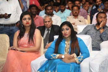 Winner Movie Pre Release Function Set 4 - 75 of 72