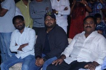 Winner Movie Pre Release Function Set 4 - 29 of 72