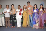 Writer Movie Audio Launch - 9 of 74